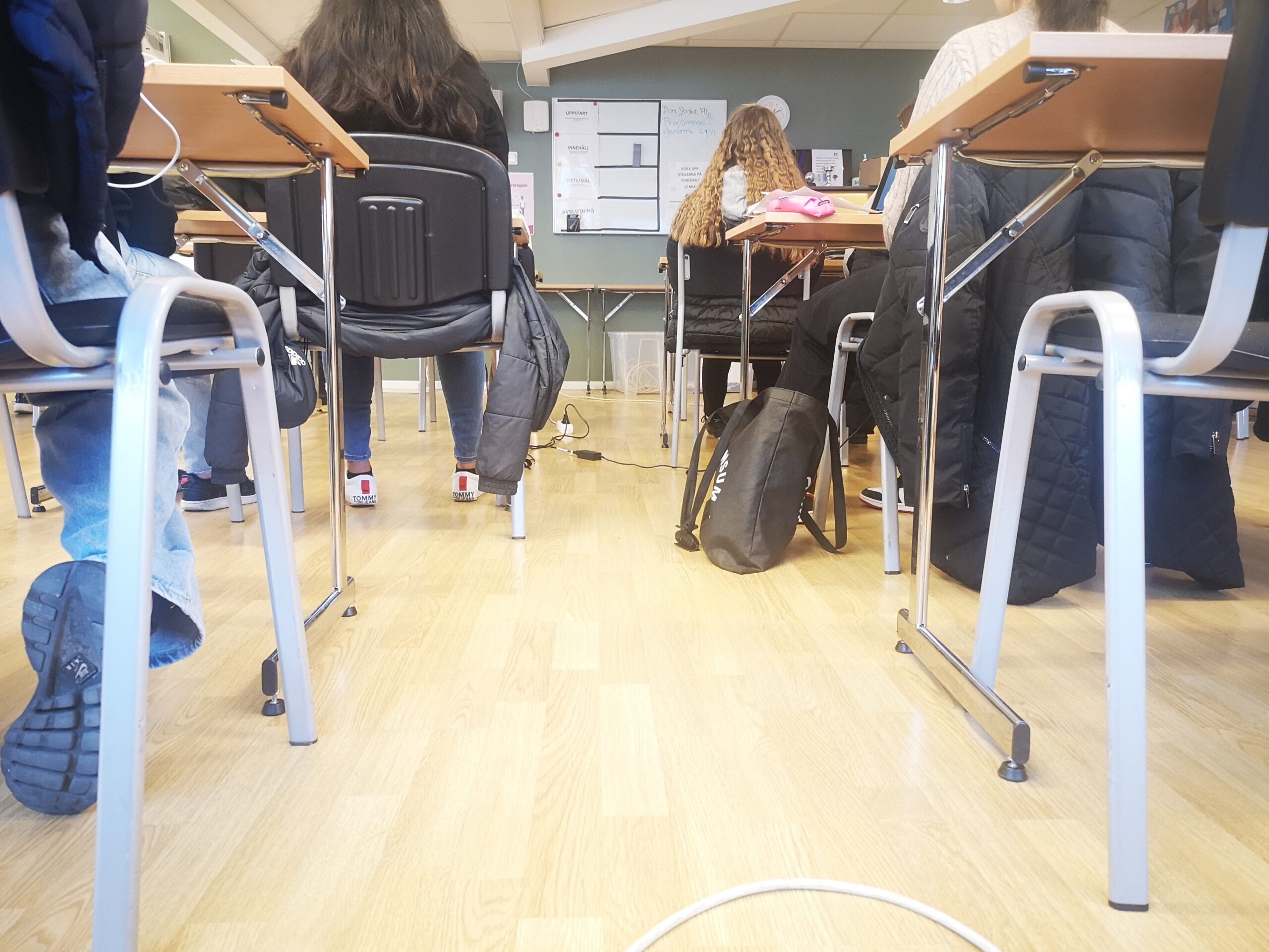 Stillin leder lärarutbildning